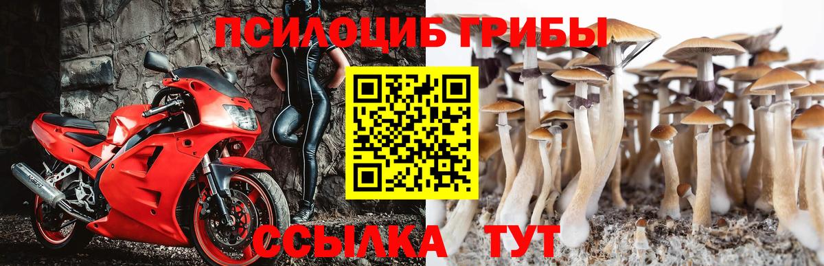 Галлюциногенные грибы Magic Shrooms Железноводск