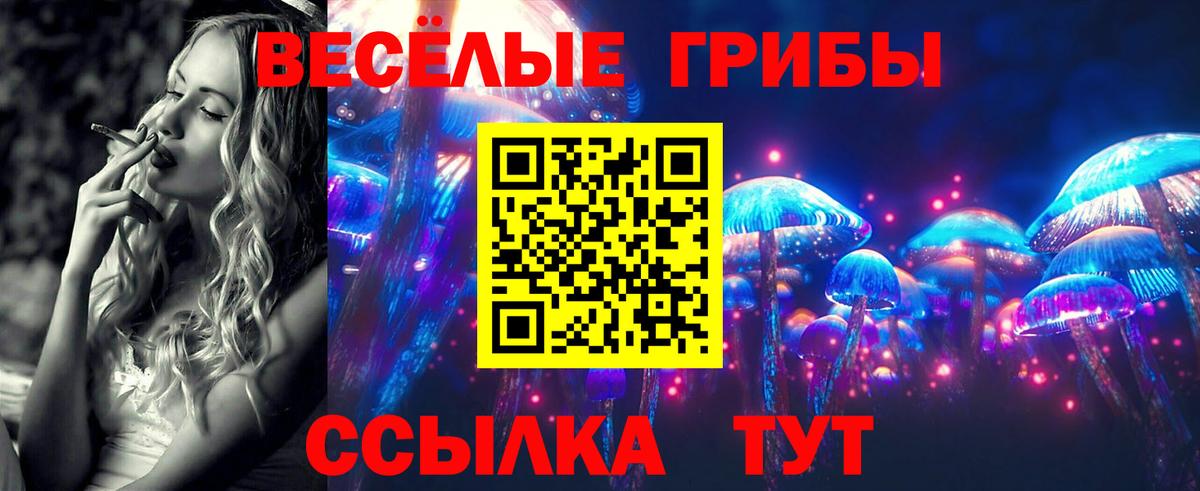 Псилоцибиновые грибы прущие грибы  Галлюциногенные грибы Psilocybine cubensis  Вход с VPN  Железноводск 